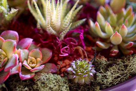 ͻƣйͱ׼ֱ7.7%11.3%